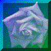 The Blue Rose takes you to Candice's Home